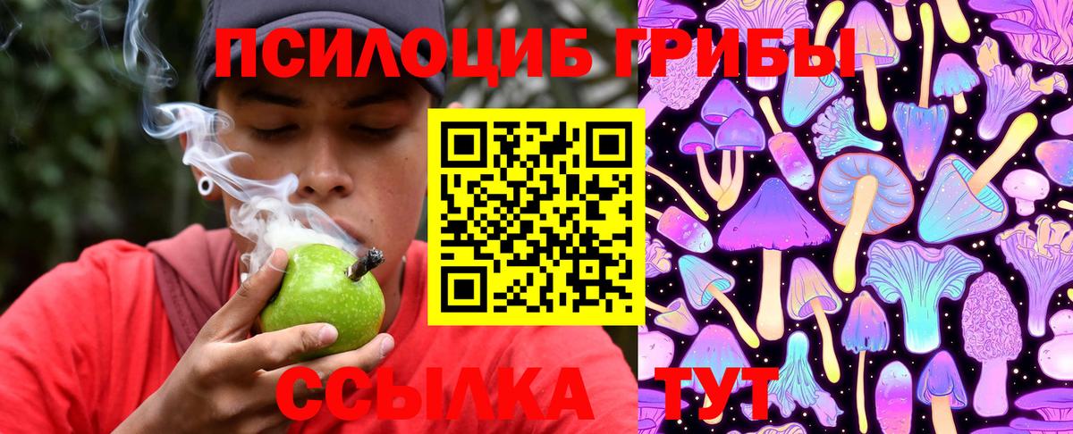 Галлюциногенные грибы Psilocybe  Галлюциногенные грибы Psilocybe  Вход с VPN  Корсаков 